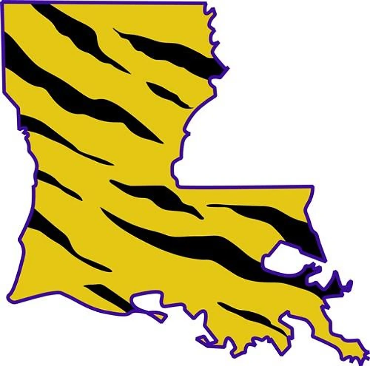 LOUISIANA TIGER STRIPED