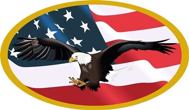 EAGLE AND FLAG