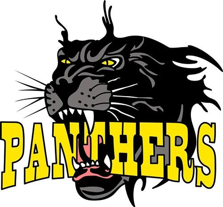 PANTHERS MASCOT