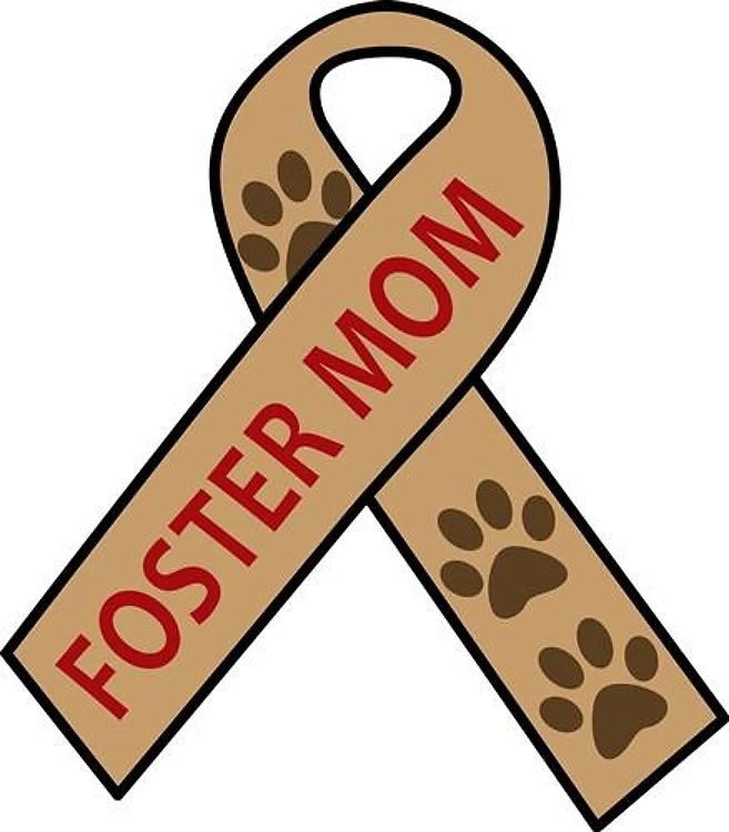PET FOSTER MOM