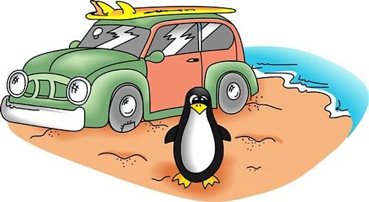 GOING SURFING