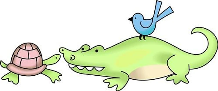 ALLIGATOR AND TURTLE