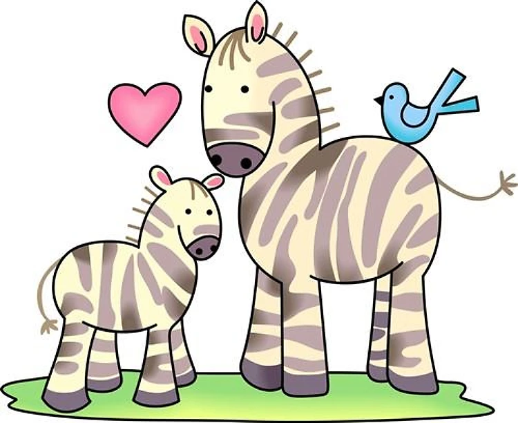 NOAHS ZEBRAS