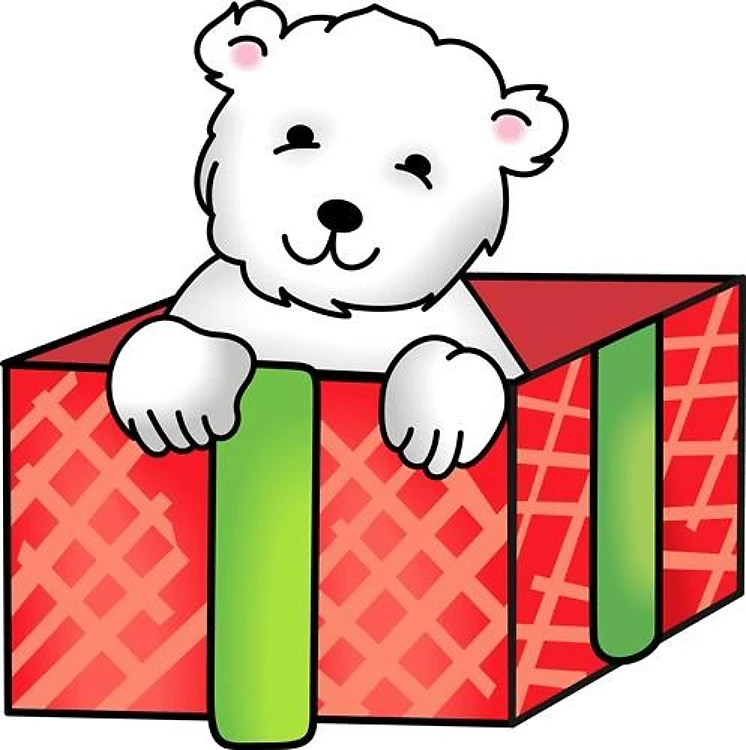 POLAR BEAR IN GIFT BOX
