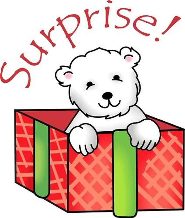 CHRISTMAS SURPRISE