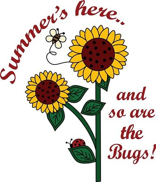 SUMMERS HERE