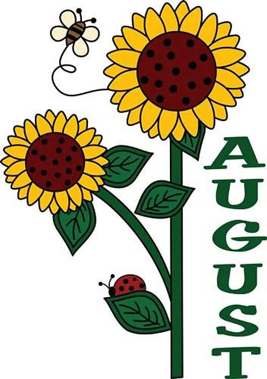 AUGUST SUNFLOWERS