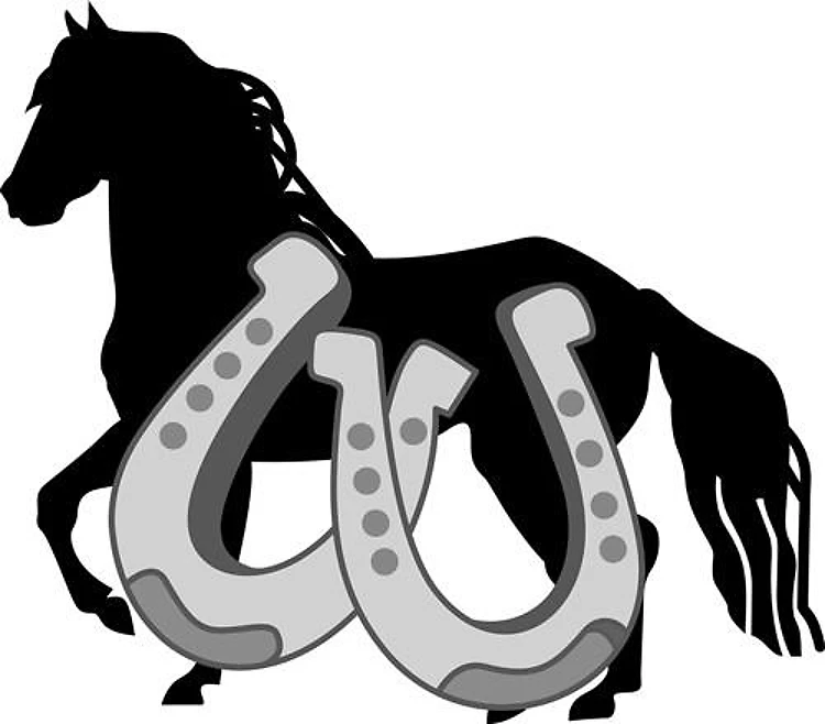 HORSESHOES AND HORSE