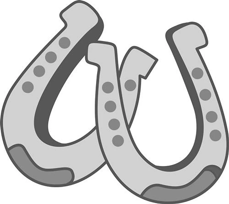 HORSESHOES