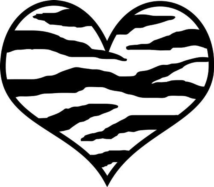 ZEBRA HEART