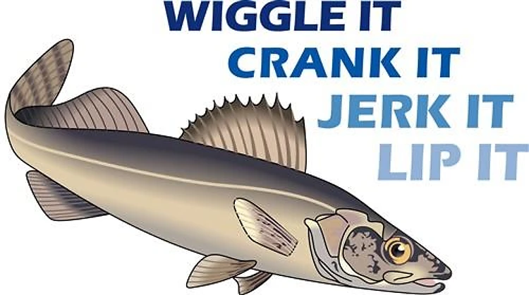 WIGGLE IT CRANK IT