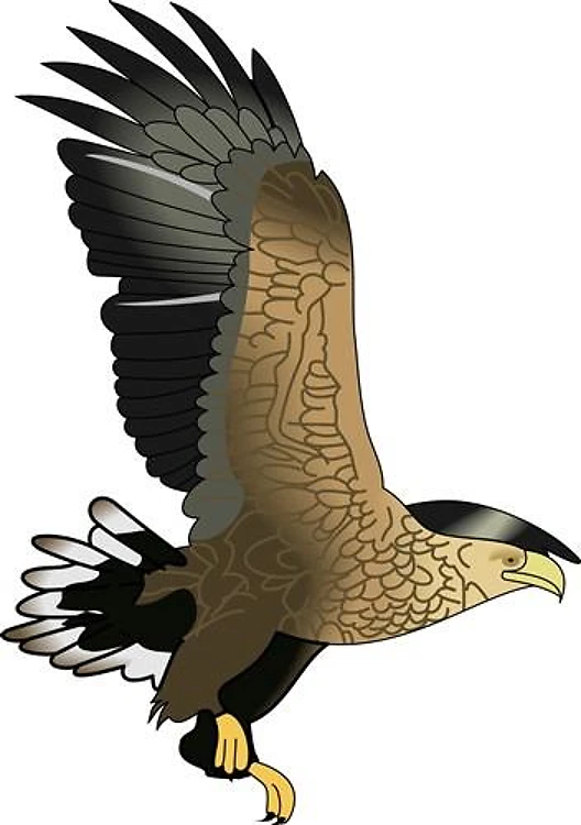 EAGLE