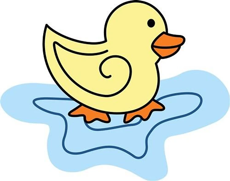 DUCK IN PUDDLE