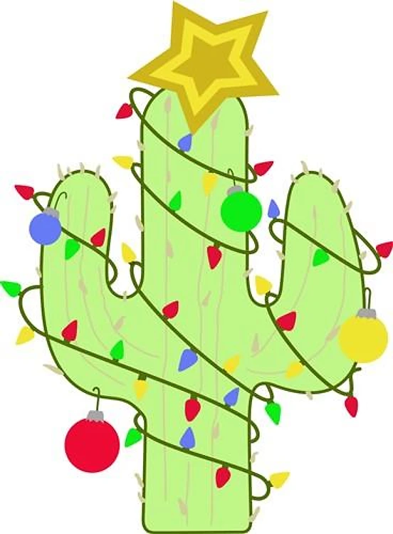 CHRISTMAS CACTUS