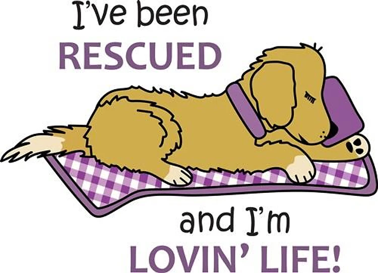 IVE BEEN RESCUED