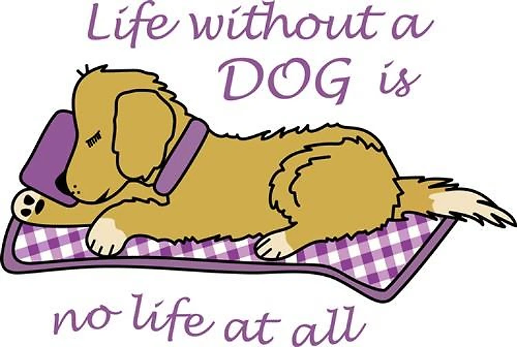 LIFE WITHOUT A DOG