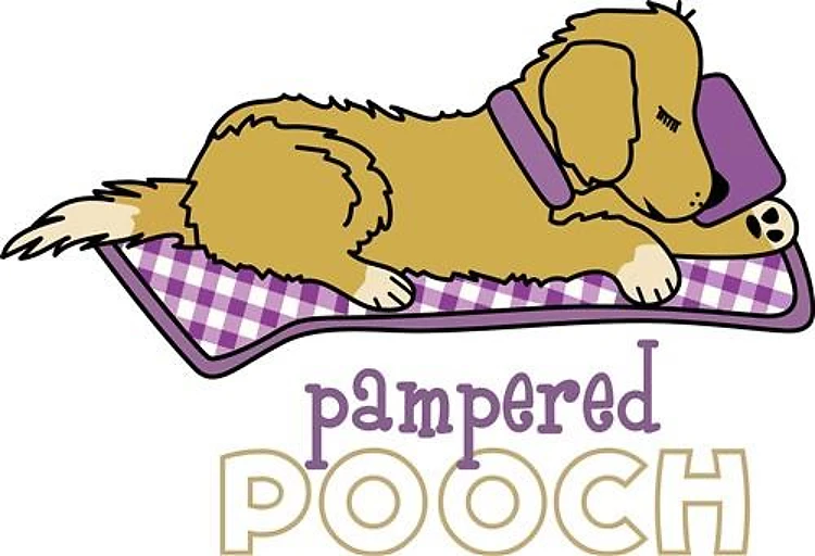 PAMPERED POOCH