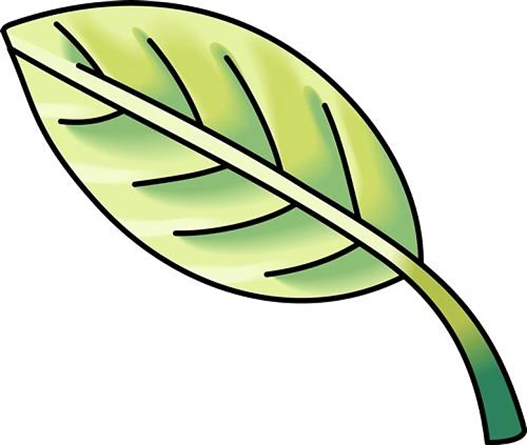 LEAF