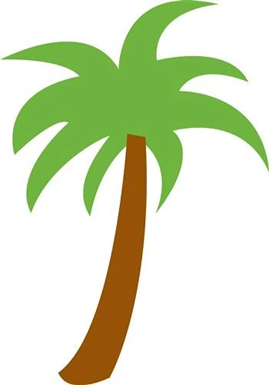 SMALL PALM TREE