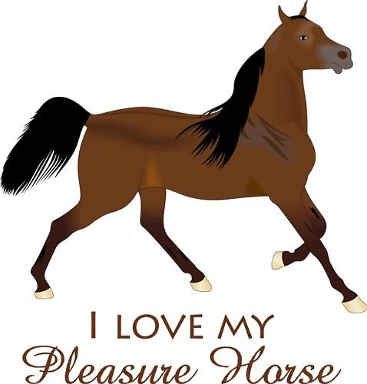 LOVE MY PLEASURE HORSE