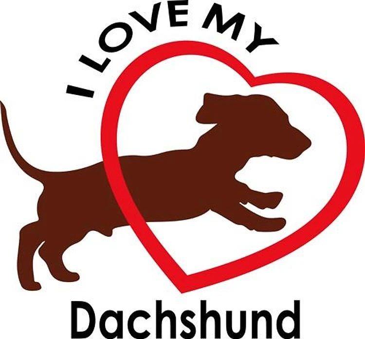 I LOVE MY DACHSHUND