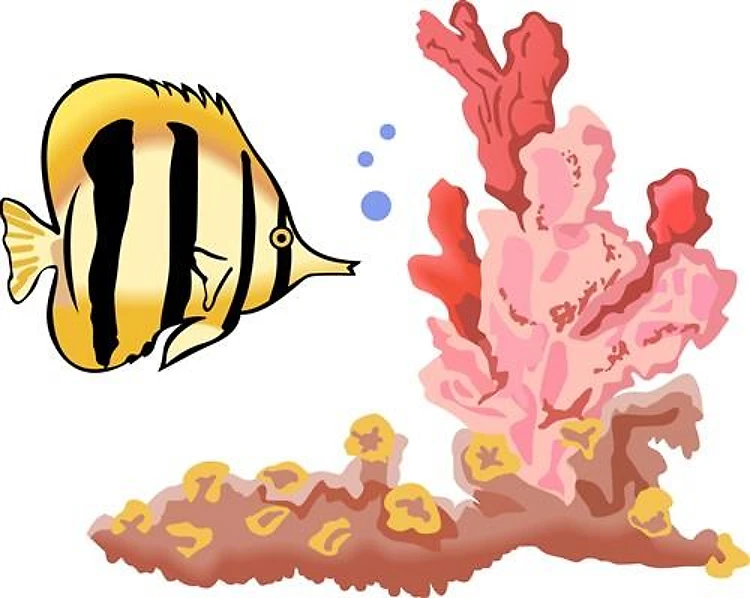 OCEAN SCENE