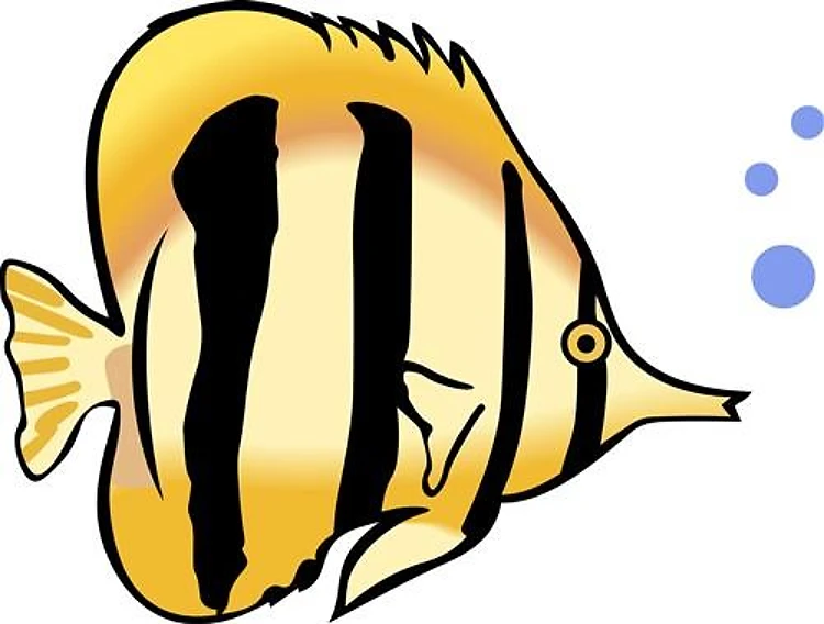 BUTTERFLY FISH