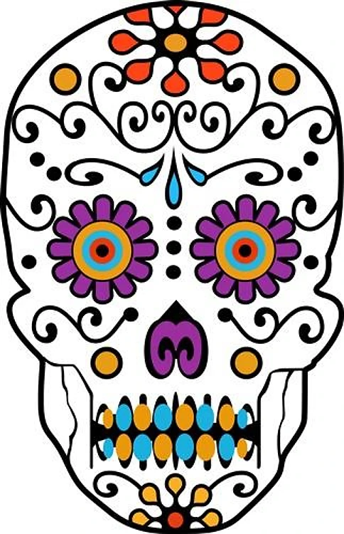 LARGE SKULL OPEN