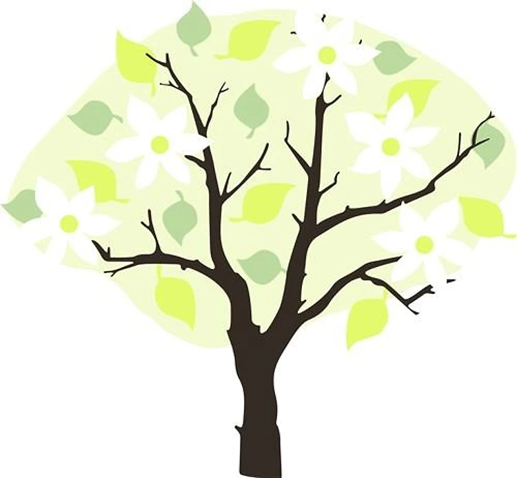 SPRING TREE