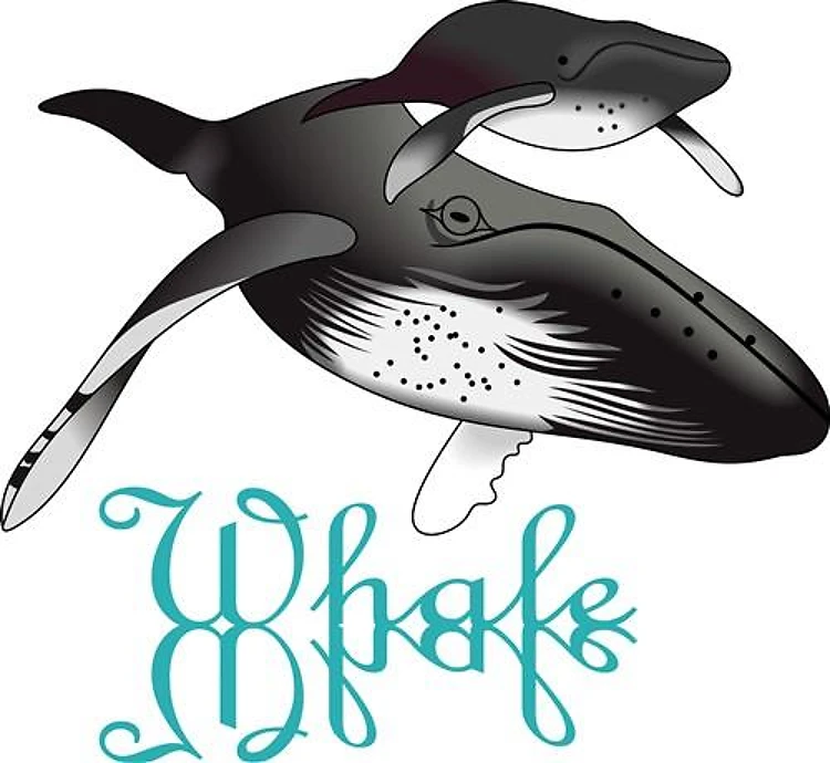 HUMPBACK WHALES
