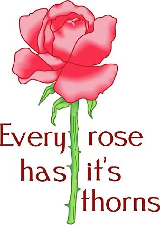 EVERY ROSE HAS THORNS