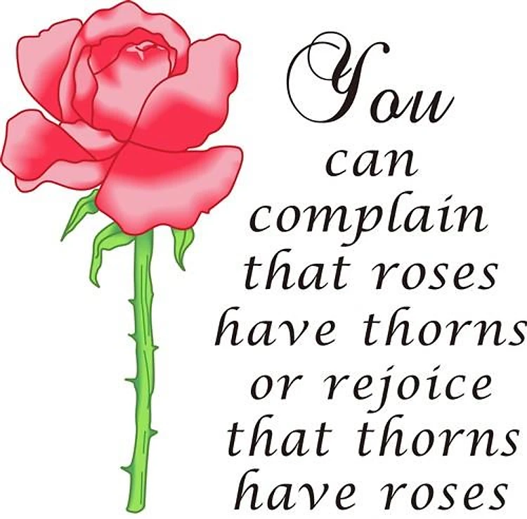 THORNS HAVE ROSES