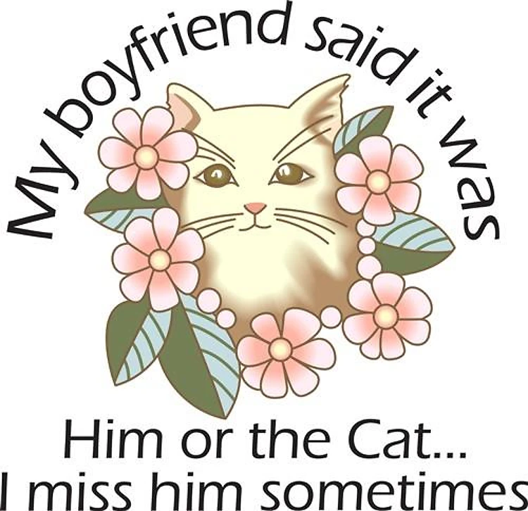 IT WAS HIM OR THE CAT