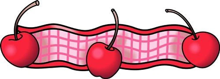 CHERRY GINGHAM BORDER