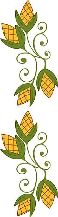 HARVEST CORN BORDER