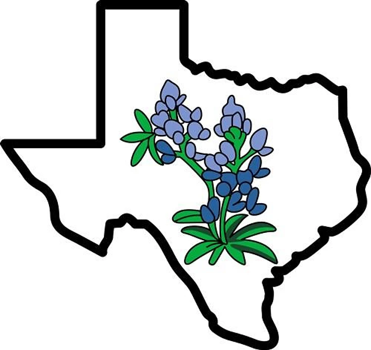 TEXAS BLUEBONNETS