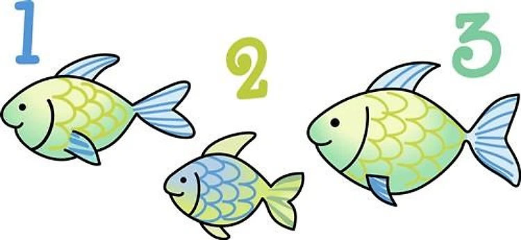 COUNTING FISH