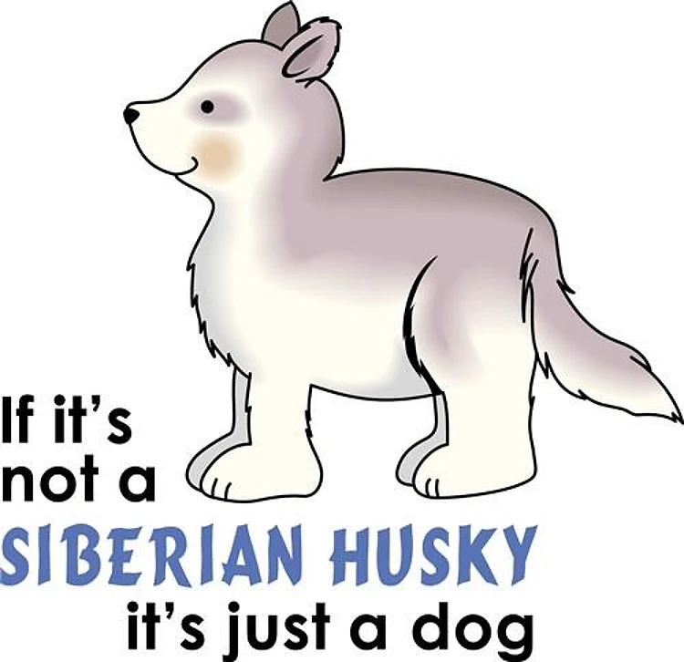 IF ITS NOT A SIBERIAN HUSKY