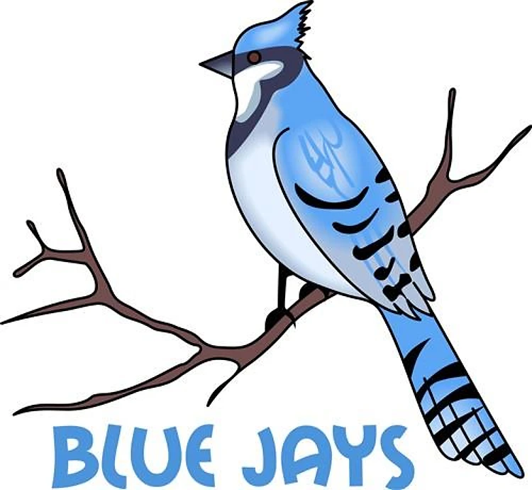 BLUE JAYS