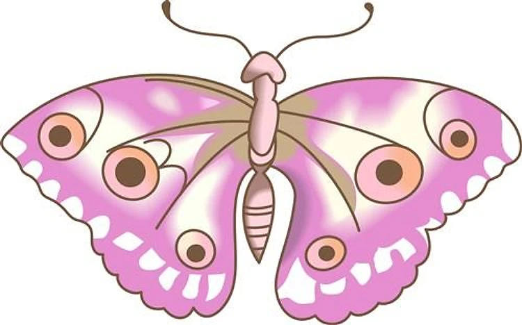 MOTH