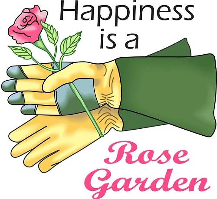 HAPPINESS IS A ROSE GARDEN