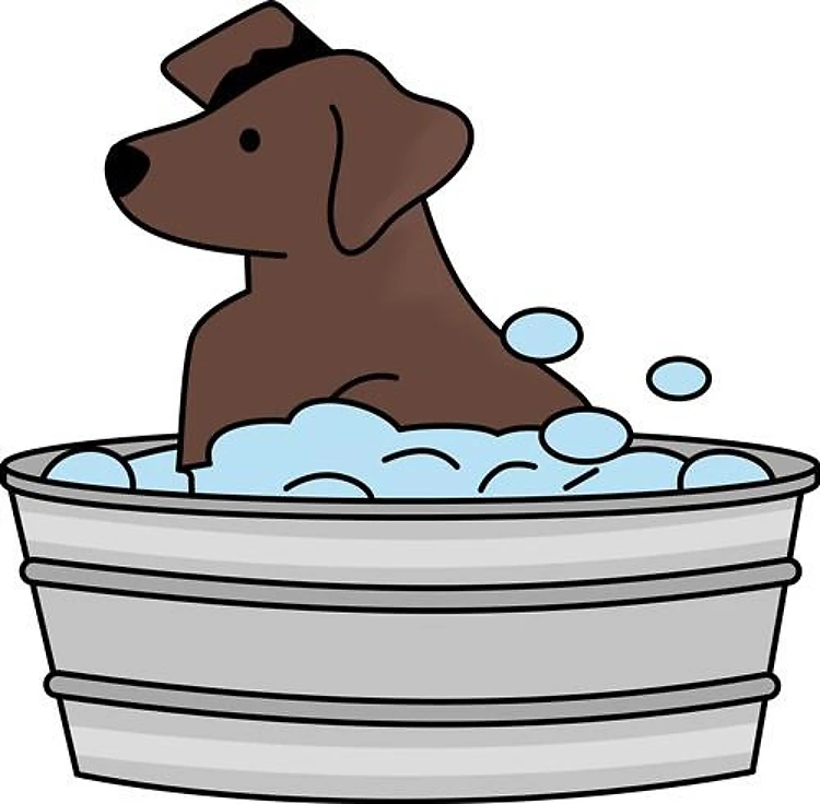 WASHING THE DOG