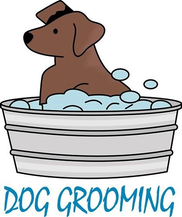 DOG GROOMING