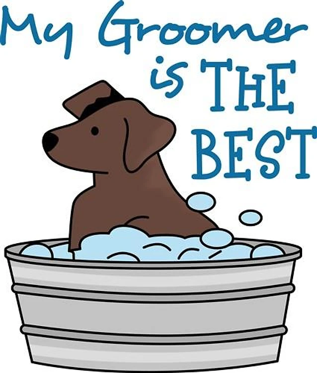 MY GROOMER IS THE BEST