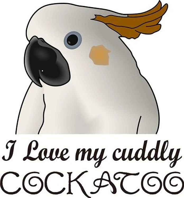 CUDDLY COCKATOO
