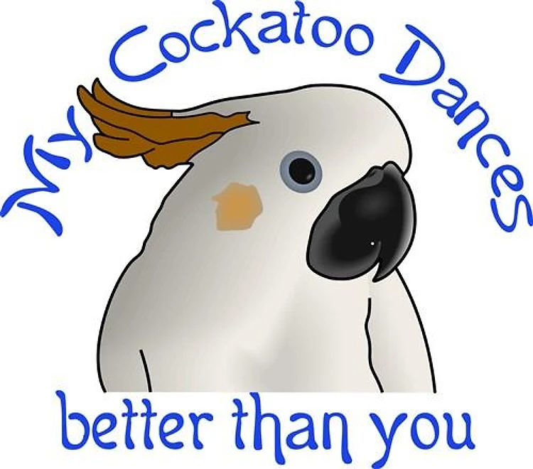 MY COCKATOO DANCES