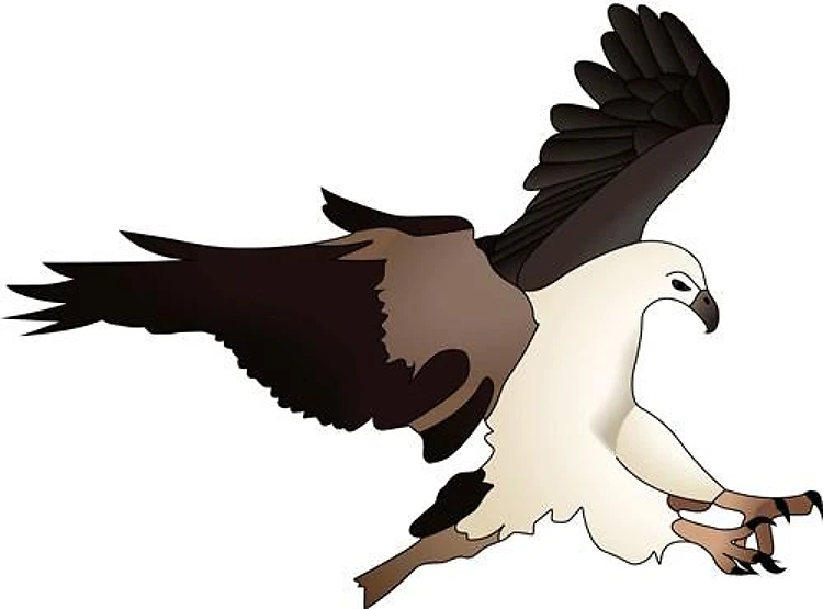 EAGLE