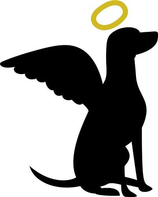 DOG ANGEL DOG