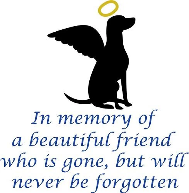 IN MEMORY OF