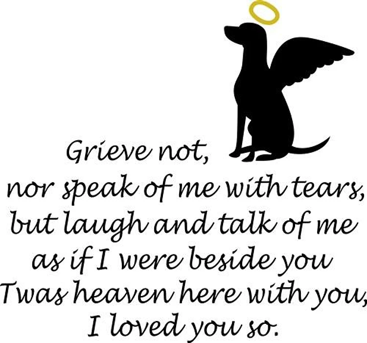 I LOVED YOU SO
